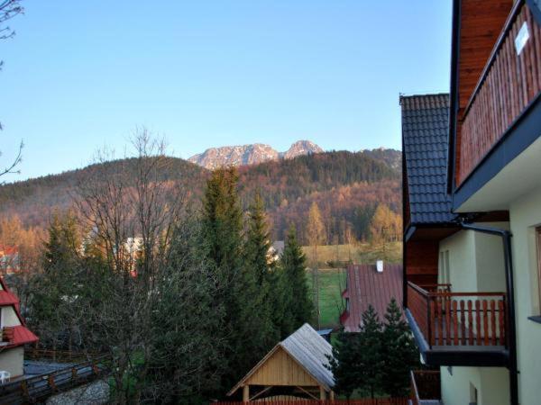 Apartament Domino - Krzeptowki 06 Zakopane Exterior photo